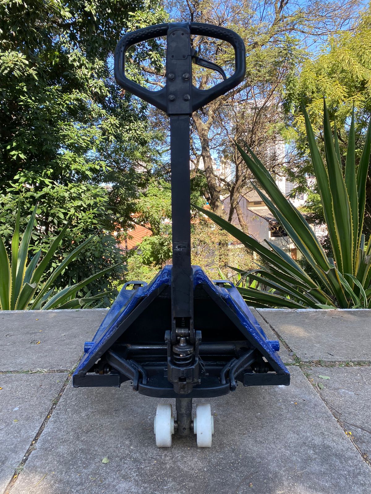 WhatsApp Image 2023-06-28 at 12.59.09.jpeg