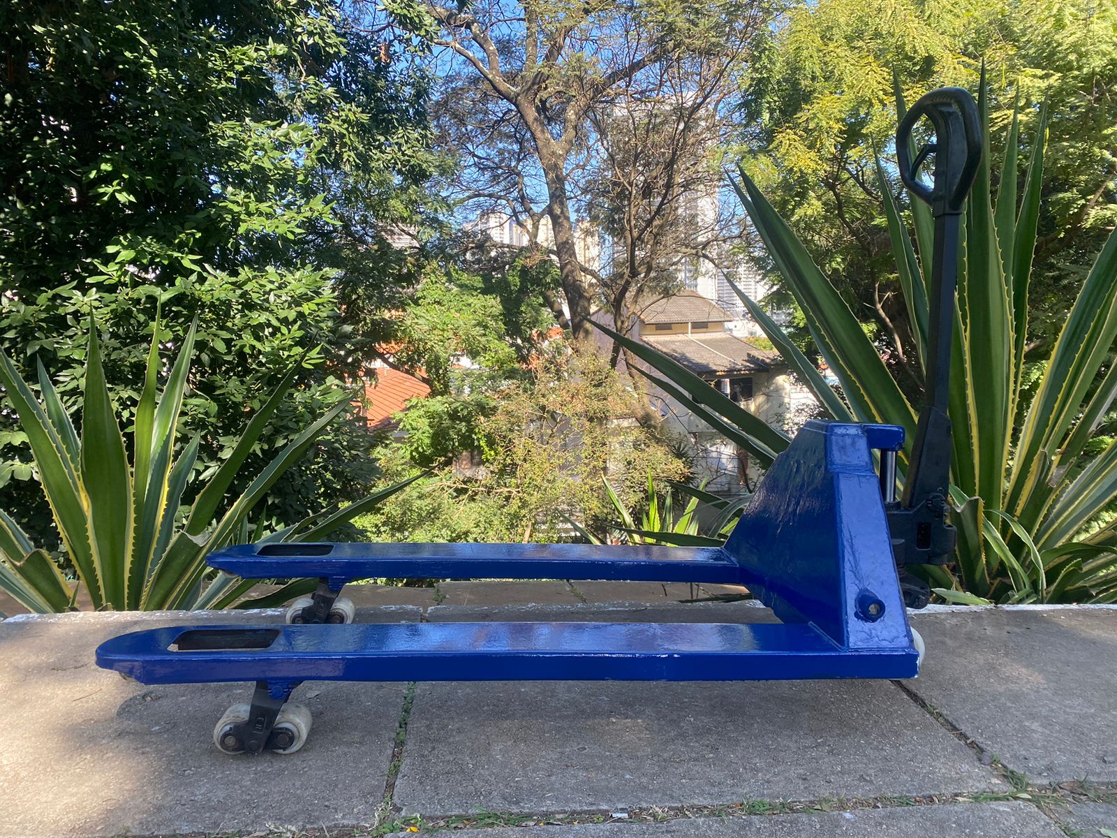 WhatsApp Image 2023-06-28 at 12.59.03.jpeg